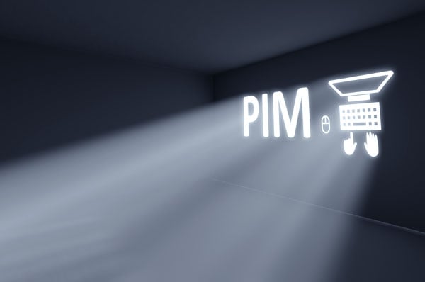 Vad är syftet med ett PIM-system?