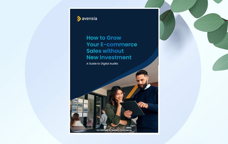 How to Grow Your E-Commerce Sales without New Investment